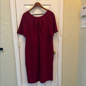 Pretty Burgundy Dress